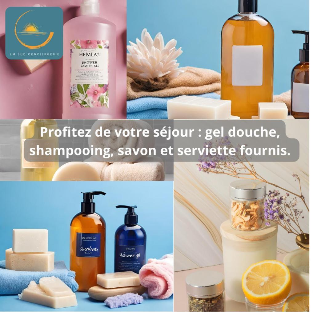 - Coeur De Et Halles Apartment Sète